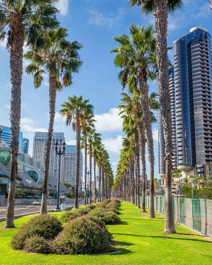 San Diego