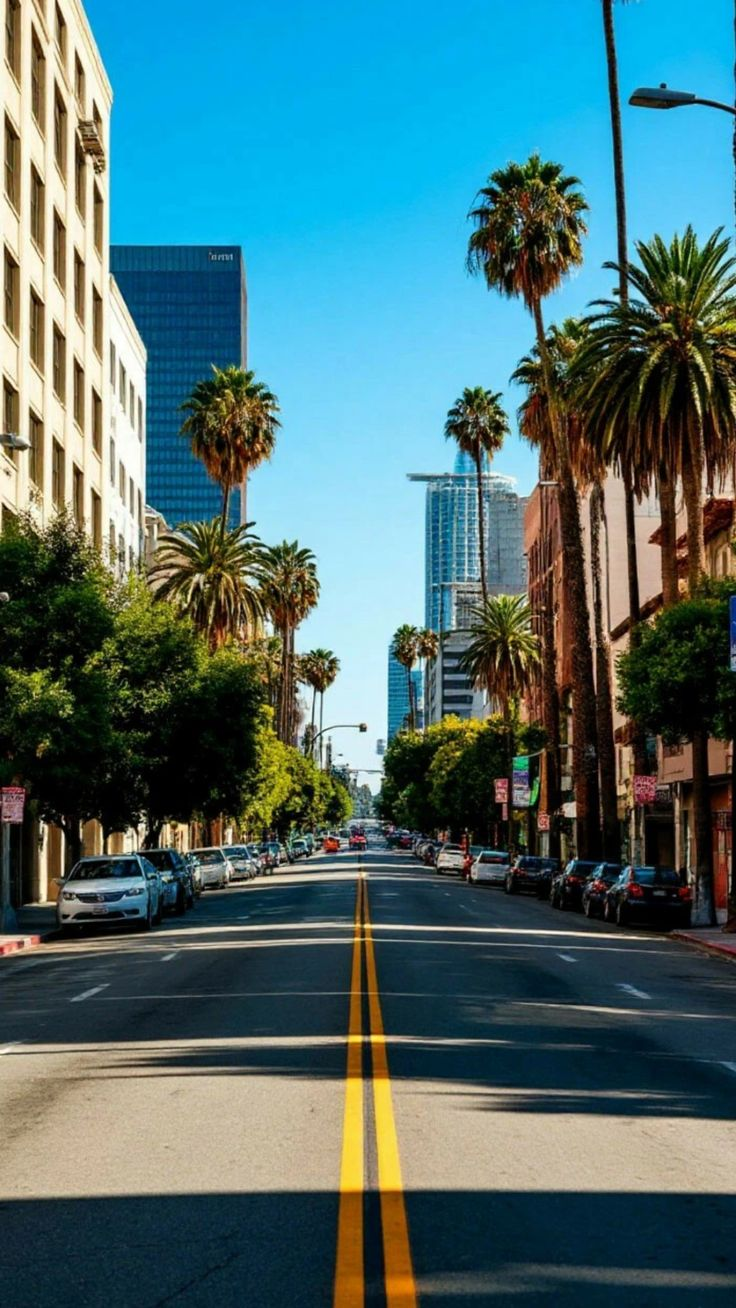 San Diego Hop-On Hop-Off Bus Tour